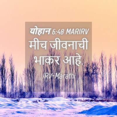 Picture 04 - योहान 6:48 MARIRV - मीच जीवनाची भाकर - Bible Verse Picture