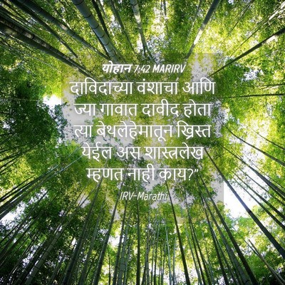 Picture 04 - योहान 7:42 MARIRV - दाविदाच्या वंशाचा - Bible Verse Picture