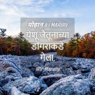 Picture 04 - योहान 8:1 MARIRV - येशू जैतूनाच्या - Bible Verse Picture