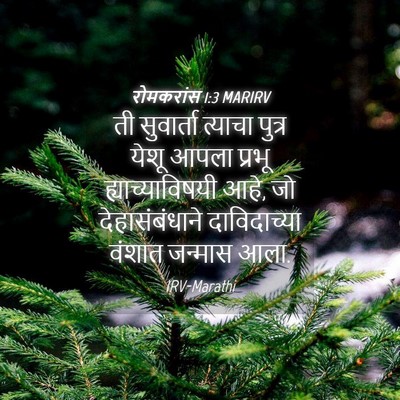 Picture 04 - रोमकरांस 1:3 MARIRV - ती सुवार्ता - Bible Verse Picture
