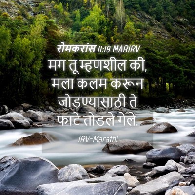 Picture 04 - रोमकरांस 11:19 MARIRV - मग तू म्हणशील की, - Bible Verse Picture