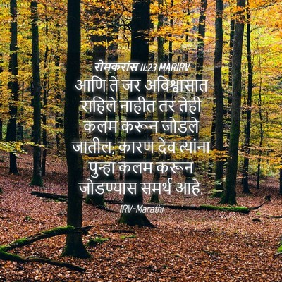 Picture 04 - रोमकरांस 11:23 MARIRV - आणि ते जर - Bible Verse Picture