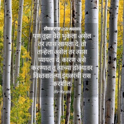 Picture 04 - रोमकरांस 12:20 MARIRV - पण तुझा वैरी - Bible Verse Picture