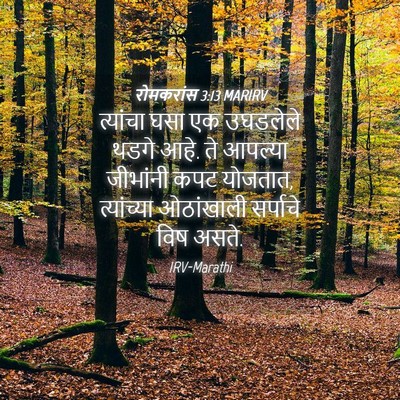 Picture 04 - रोमकरांस 3:13 MARIRV - त्यांचा घसा एक - Bible Verse Picture