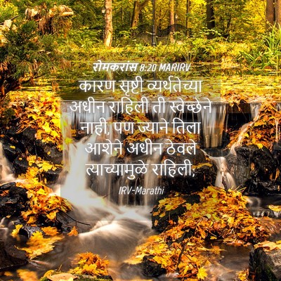 Picture 04 - रोमकरांस 8:20 MARIRV - कारण सृष्टी - Bible Verse Picture