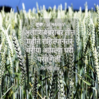 Picture 04 - लूक 1:56 MARIRV - अलीशिबेबरोबर तीन - Bible Verse Picture
