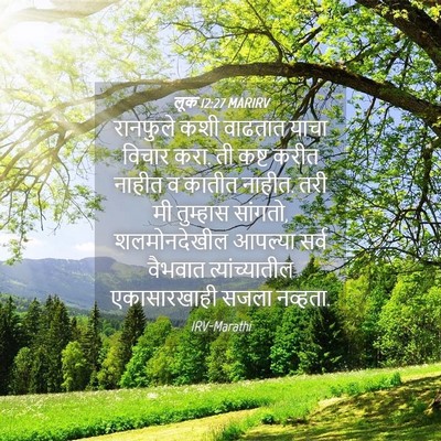 Picture 04 - लूक 12:27 MARIRV - रानफुले कशी - Bible Verse Picture