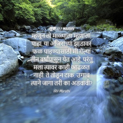 Picture 04 - लूक 13:7 MARIRV - म्हणून तो - Bible Verse Picture