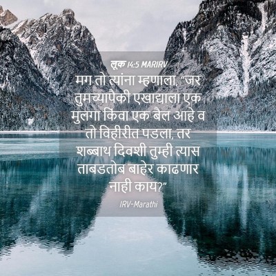 Picture 04 - लूक 14:5 MARIRV - मग तो त्यांना - Bible Verse Picture