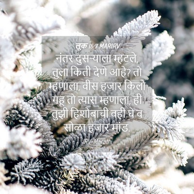 Picture 04 - लूक 16:7 MARIRV - नंतर दुसऱ्याला - Bible Verse Picture