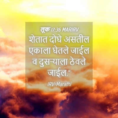 Picture 04 - लूक 17:36 MARIRV - शेतात दोघे असतील - Bible Verse Picture