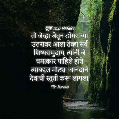 Picture 04 - लूक 19:37 MARIRV - तो जेव्हा जैतून - Bible Verse Picture