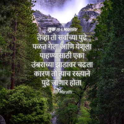 Picture 04 - लूक 19:4 MARIRV - तेव्हा तो - Bible Verse Picture