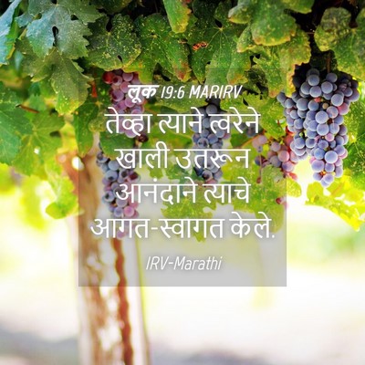 Picture 04 - लूक 19:6 MARIRV - तेव्हा त्याने - Bible Verse Picture