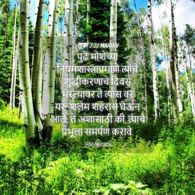 Picture 04 - लूक 2:22 MARIRV - पुढे मोशेच्या - Bible Verse Picture