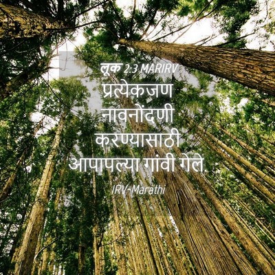 Picture 04 - लूक 2:3 MARIRV - प्रत्येकजण - Bible Verse Picture
