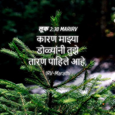 Picture 04 - लूक 2:30 MARIRV - कारण माझ्या - Bible Verse Picture