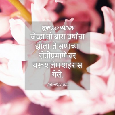 Picture 04 - लूक 2:42 MARIRV - जेव्हा तो बारा - Bible Verse Picture