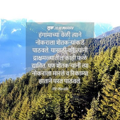 Picture 04 - लूक 20:10 MARIRV - हंगामाच्या वेळी - Bible Verse Picture
