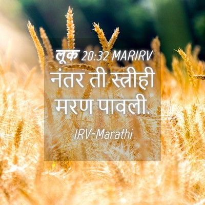 Picture 04 - लूक 20:32 MARIRV - नंतर ती स्त्रीही - Bible Verse Picture