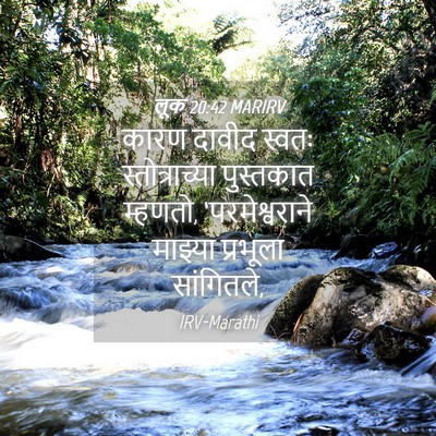 Picture 04 - लूक 20:42 MARIRV - कारण दावीद स्वतः - Bible Verse Picture