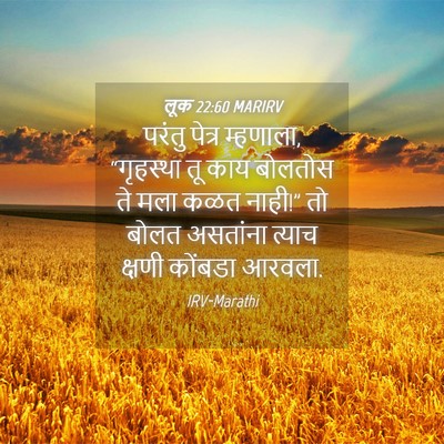 Picture 04 - लूक 22:60 MARIRV - परंतु पेत्र - Bible Verse Picture