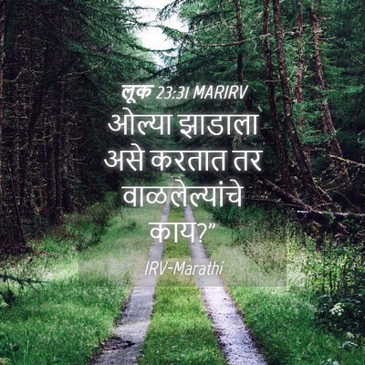 Picture 04 - लूक 23:31 MARIRV - ओल्या झाडाला असे - Bible Verse Picture