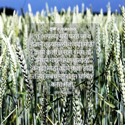 Picture 04 - लूक 8:39 MARIRV - “तू आपल्या घरी परत - Bible Verse Picture