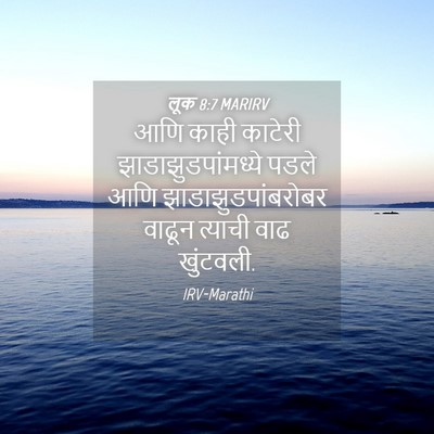 Picture 04 - लूक 8:7 MARIRV - आणि काही काटेरी - Bible Verse Picture