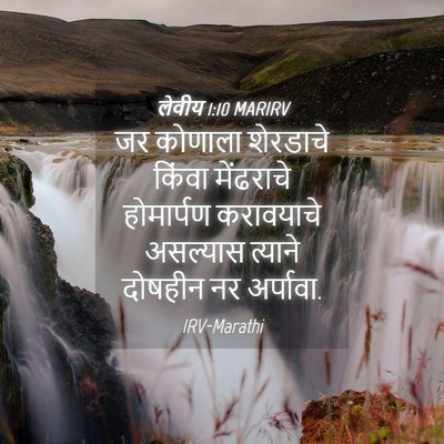 Picture 04 - लेवीय 1:10 MARIRV - जर कोणाला शेरडाचे - Bible Verse Picture