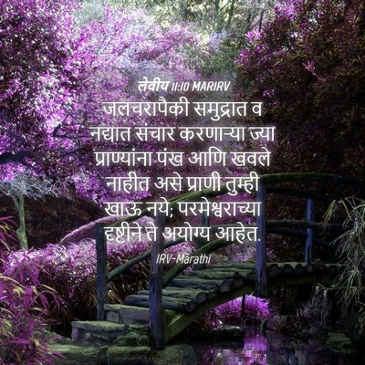 Picture 04 - लेवीय 11:10 MARIRV - जलचरापैकी - Bible Verse Picture