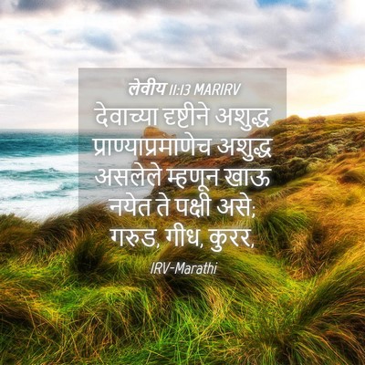 Picture 04 - लेवीय 11:13 MARIRV - देवाच्या दृष्टीने - Bible Verse Picture