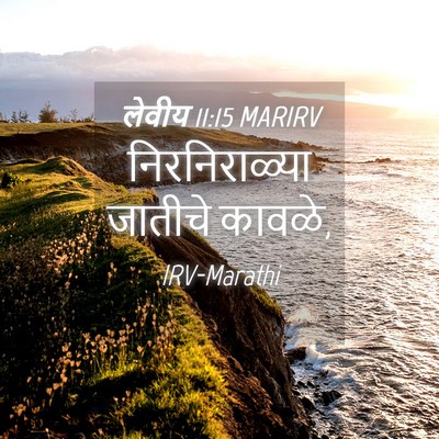 Picture 04 - लेवीय 11:15 MARIRV - निरनिराळ्या - Bible Verse Picture