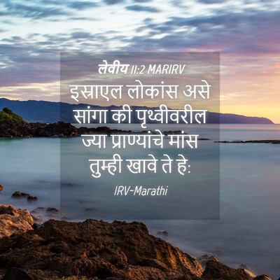 Picture 04 - लेवीय 11:2 MARIRV - इस्राएल लोकांस - Bible Verse Picture