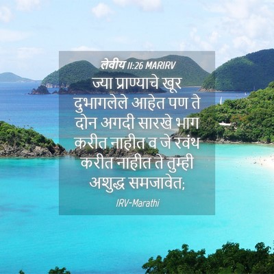 Picture 04 - लेवीय 11:26 MARIRV - ज्या प्राण्याचे - Bible Verse Picture
