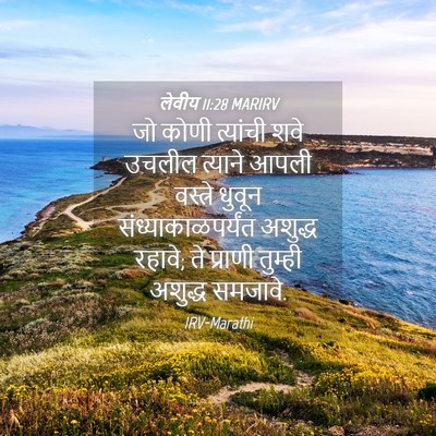 Picture 04 - लेवीय 11:28 MARIRV - जो कोणी त्यांची - Bible Verse Picture