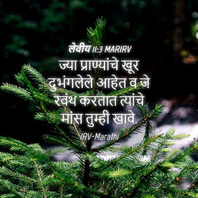 Picture 04 - लेवीय 11:3 MARIRV - ज्या प्राण्यांचे - Bible Verse Picture