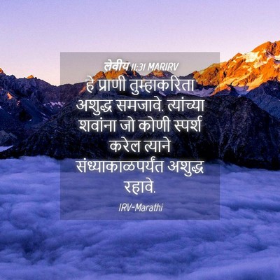 Picture 04 - लेवीय 11:31 MARIRV - हे प्राणी - Bible Verse Picture