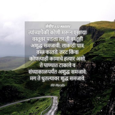 Picture 04 - लेवीय 11:32 MARIRV - त्यांच्यापैकी - Bible Verse Picture