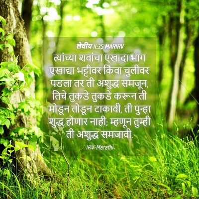 Picture 04 - लेवीय 11:35 MARIRV - त्यांच्या शवांचा - Bible Verse Picture