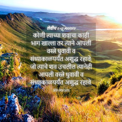 Picture 04 - लेवीय 11:40 MARIRV - कोणी त्याच्या - Bible Verse Picture