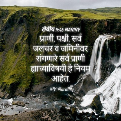 Picture 04 - लेवीय 11:46 MARIRV - प्राणी, पक्षी, सर्व - Bible Verse Picture