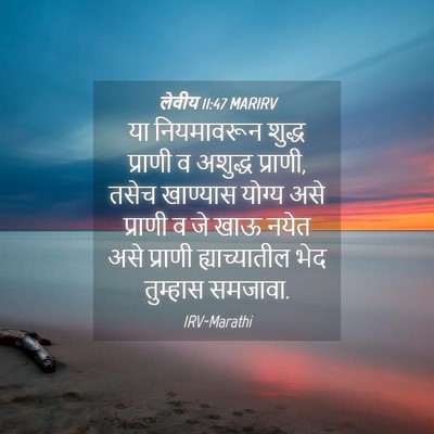 Picture 04 - लेवीय 11:47 MARIRV - या नियमावरून - Bible Verse Picture