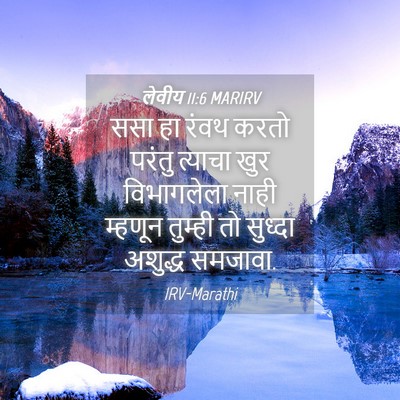 Picture 04 - लेवीय 11:6 MARIRV - ससा हा रंवथ करतो - Bible Verse Picture