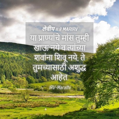 Picture 04 - लेवीय 11:8 MARIRV - या प्राण्यांचे - Bible Verse Picture