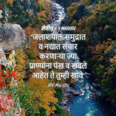 Picture 04 - लेवीय 11:9 MARIRV - “जलाशयात, - Bible Verse Picture