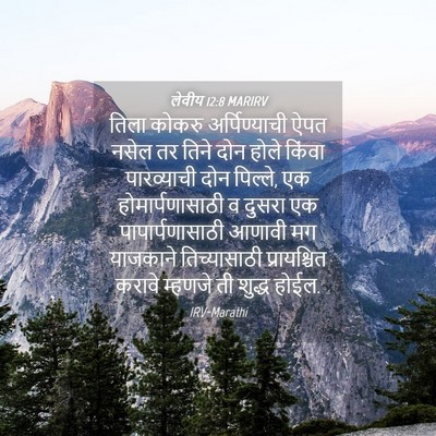 Picture 04 - लेवीय 12:8 MARIRV - तिला कोकरु - Bible Verse Picture