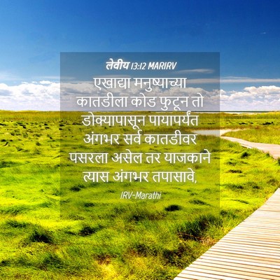Picture 04 - लेवीय 13:12 MARIRV - एखाद्या - Bible Verse Picture