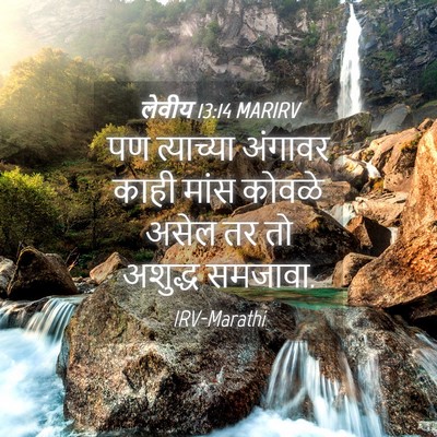 Picture 04 - लेवीय 13:14 MARIRV - पण त्याच्या - Bible Verse Picture