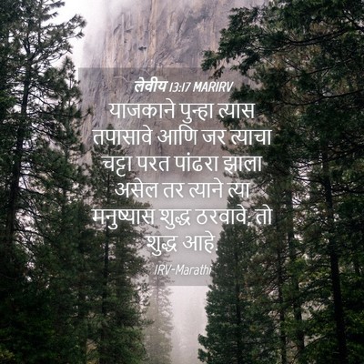 Picture 04 - लेवीय 13:17 MARIRV - याजकाने पुन्हा - Bible Verse Picture